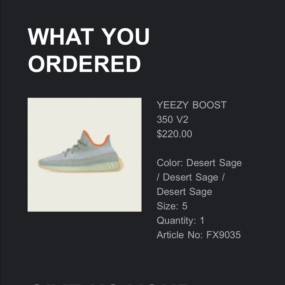 NWT YEEZY BOOST 350 V2 - Desert Sage